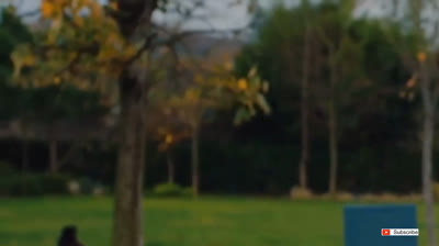 Tozluyaka (Chicos de barrio ) / capitulo 70 / audio español