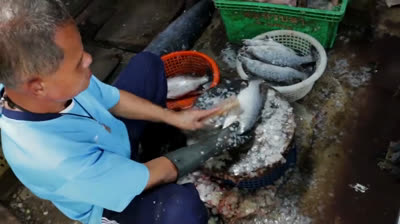 Time Rush (2016) Hindi Dubbed Movie